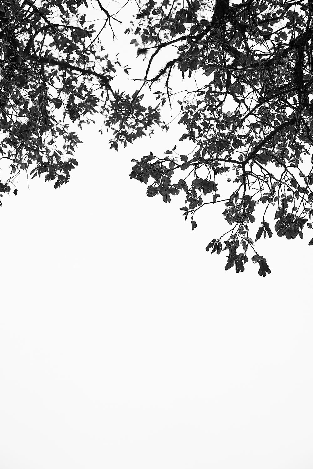 78e9f70d-7949-4a72-a679-b08b7f203ebf.jpg