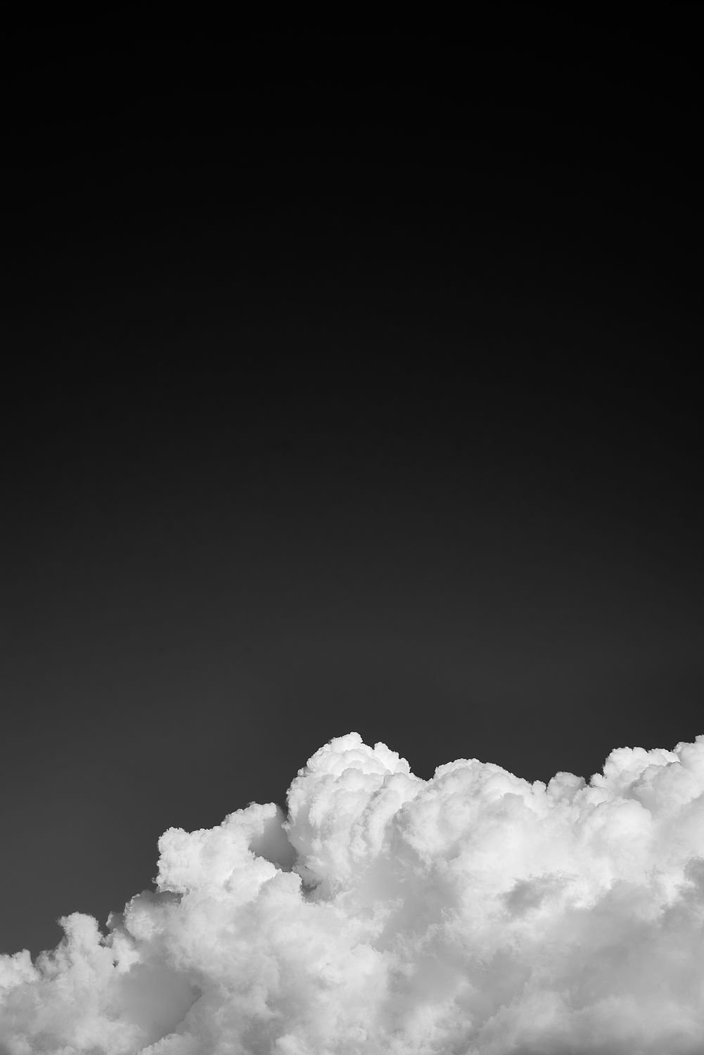 a3040bed-f1ba-49b4-b3d8-843469a99bf1.jpg