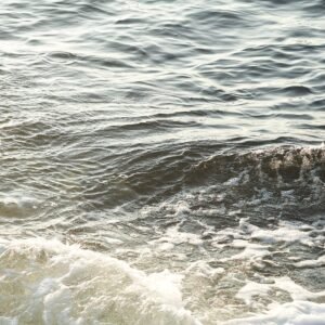 Ocean's Whisper