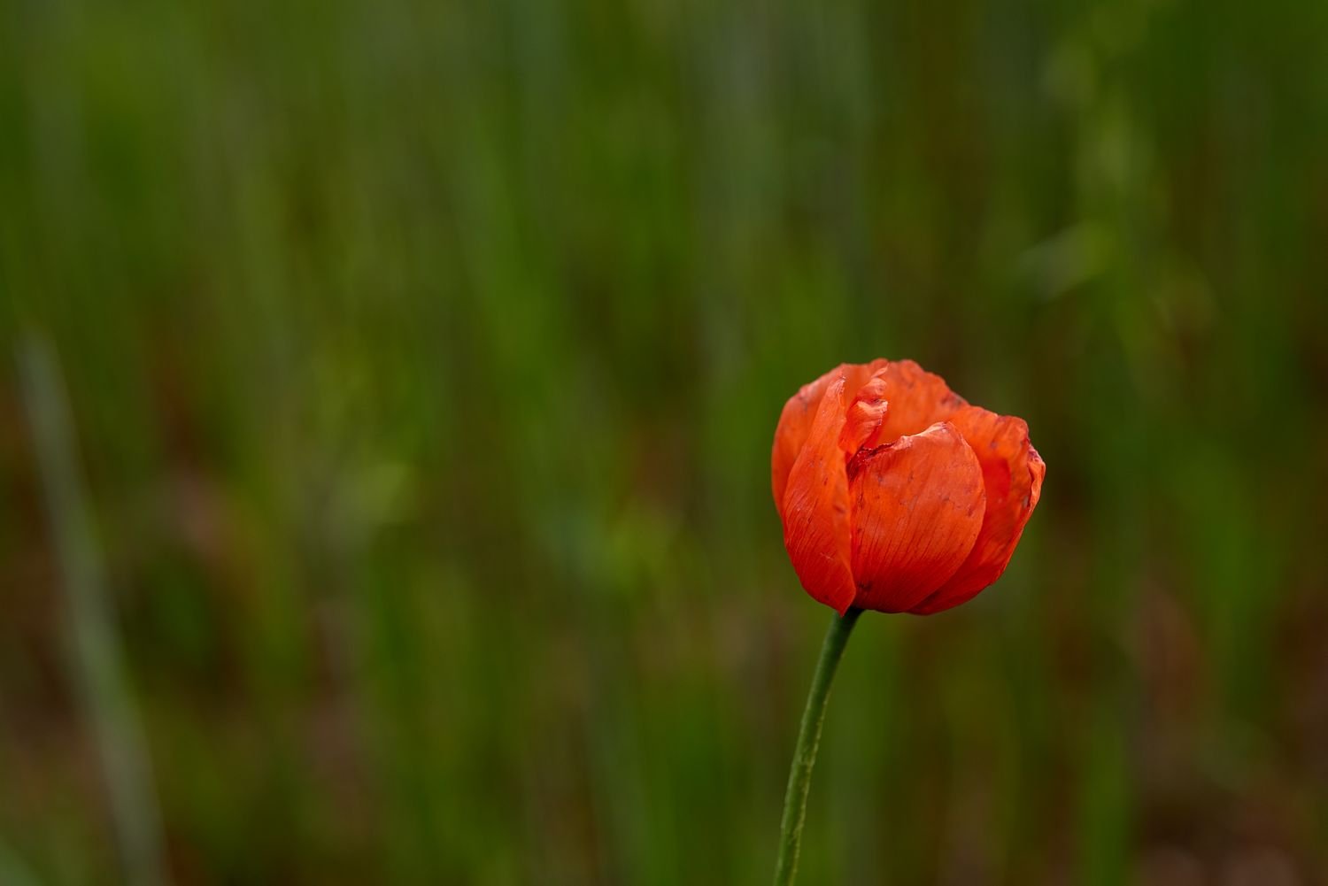 5fde9ab4-f8a3-42ce-863f-672d335fd873.jpg