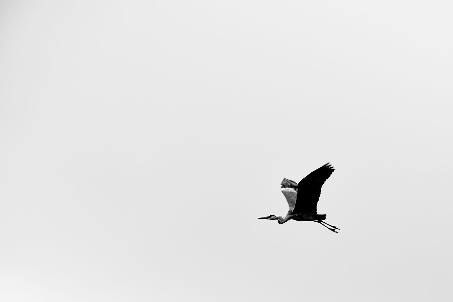 63ef52fd-f2ae-489b-96f1-85be4b9bd53e.jpg