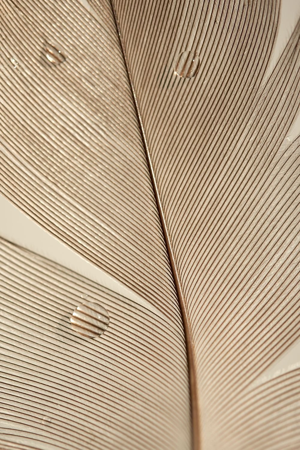 a8944a1f-5867-4d02-b6f2-c7098ee516cf.jpg