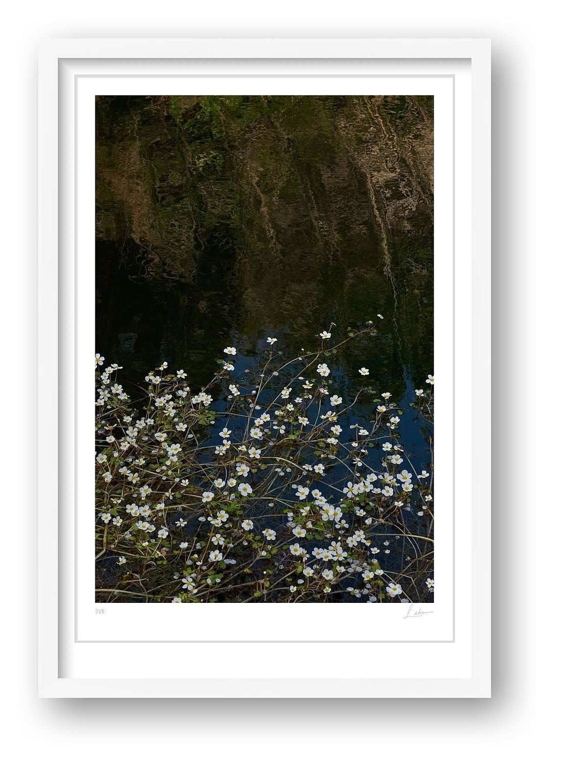 preview_a76edfa7_11c9d8fd.jpg preview