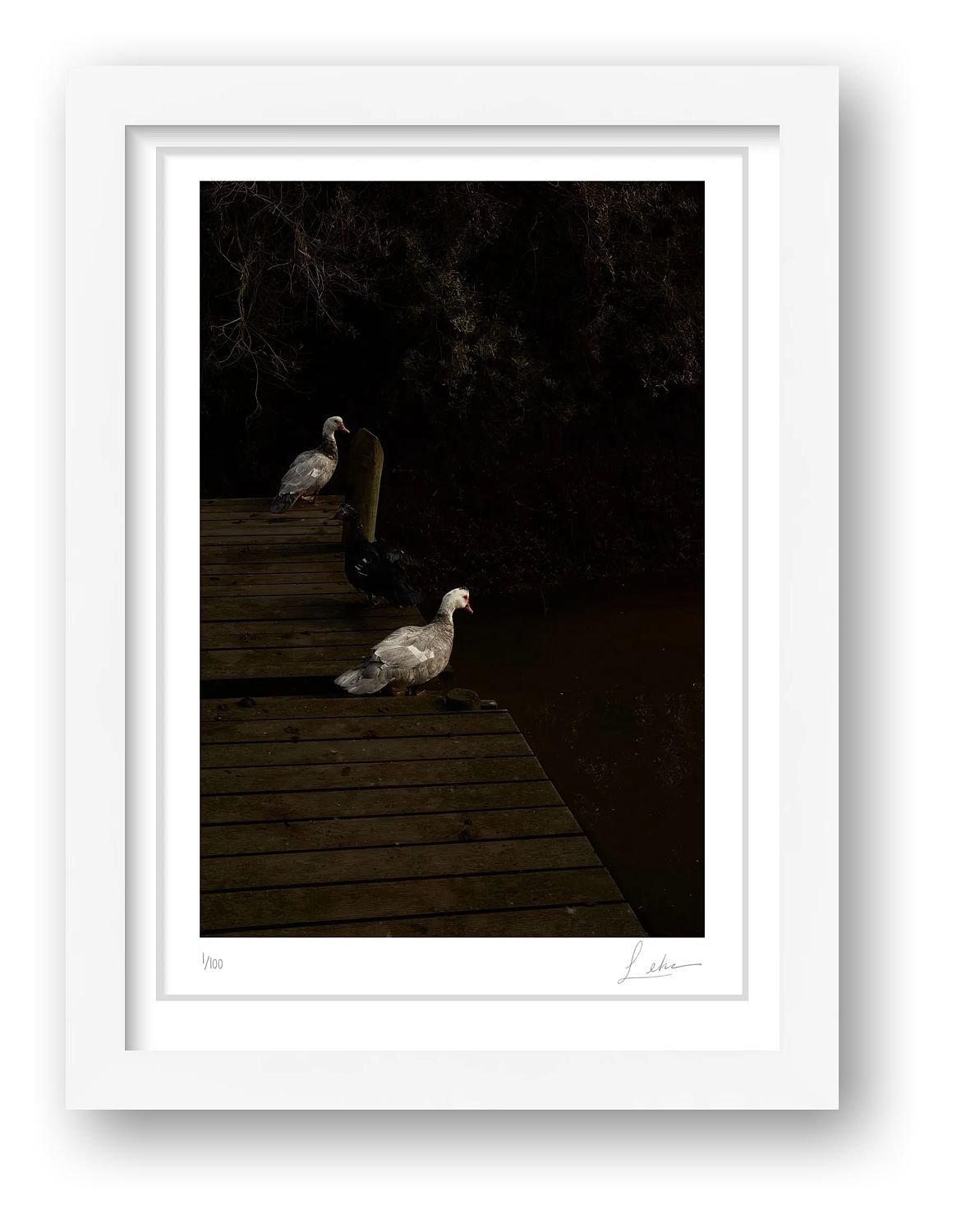 preview_d4969065_1c55a87b.jpg preview