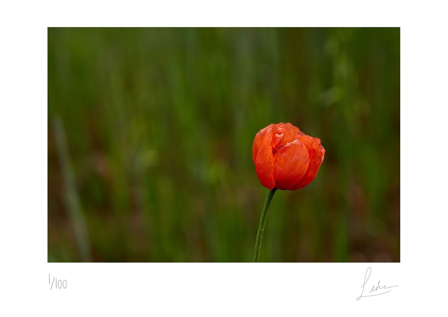 preview_9f80edd6_51f69a9e.jpg preview
