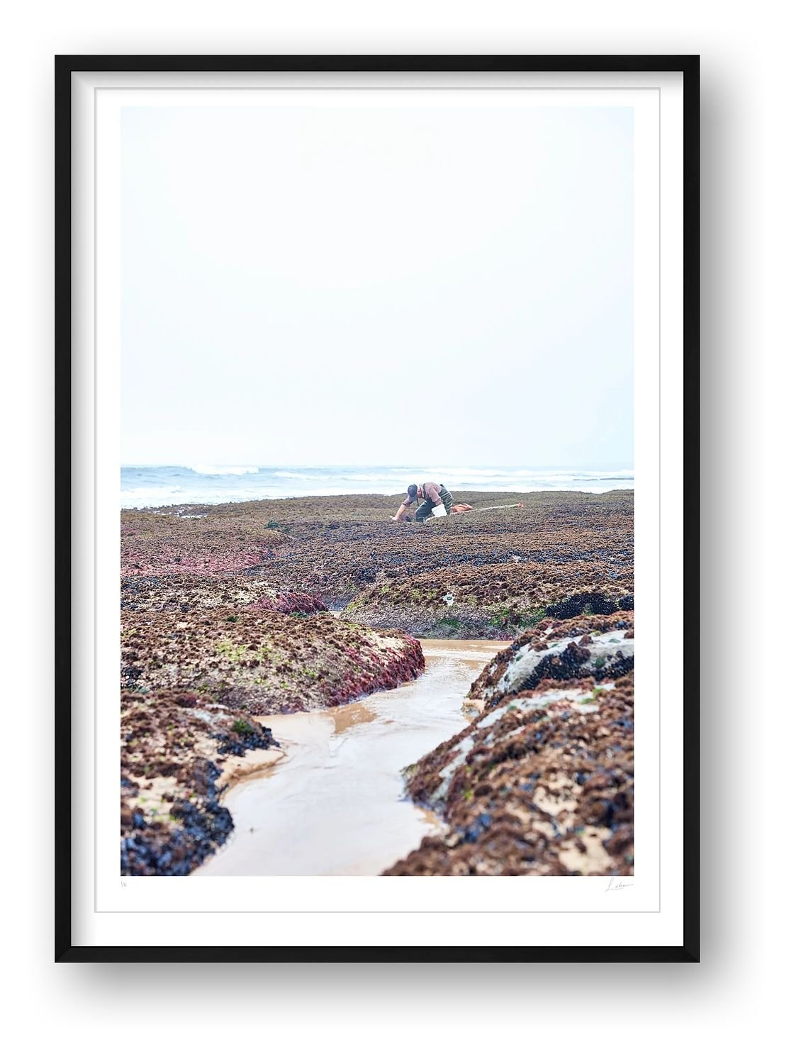 preview_99d1f878_5915cb4b.jpg preview