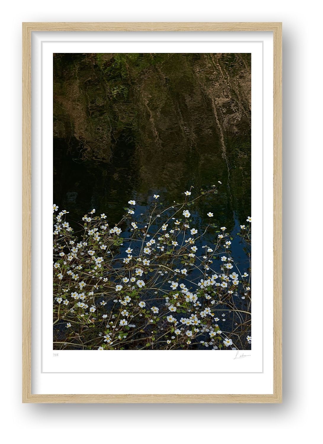 preview_87db84c8_5fc1ef4f.jpg preview