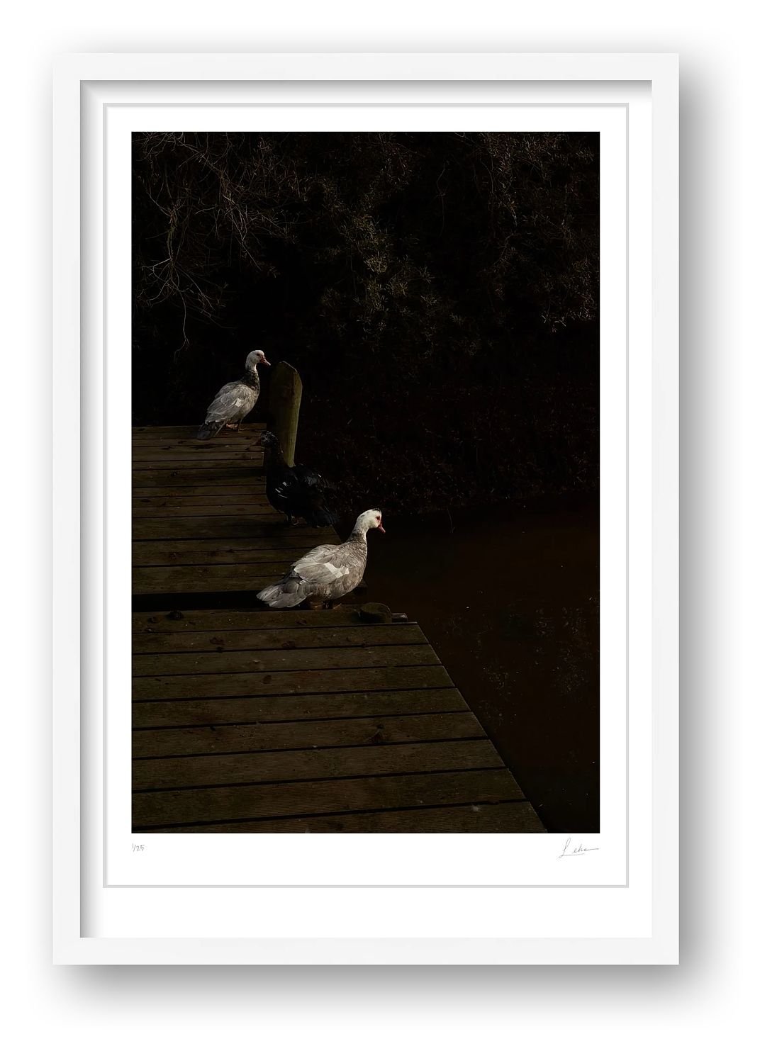 preview_78f6e2f0_72b20126.jpg preview