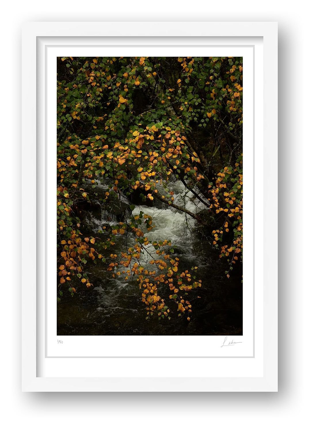 preview_877a9ff9_8e60f3a6.jpg preview