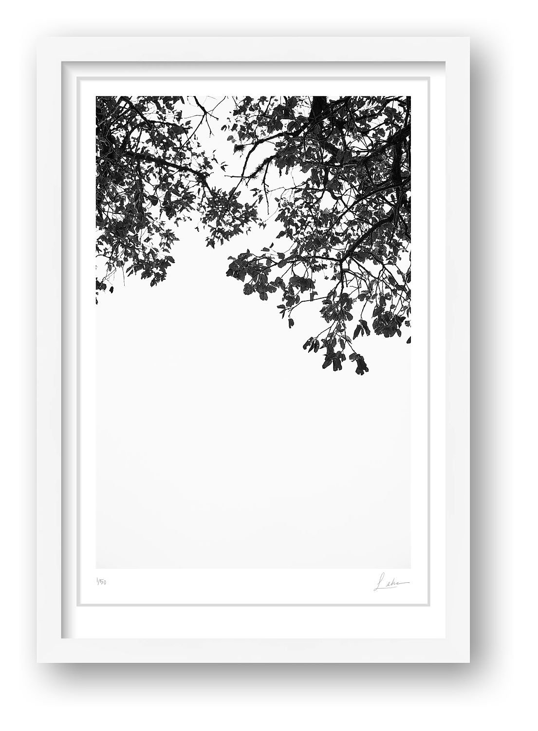 preview_3d1ebc3a_90dc9ad4.jpg preview