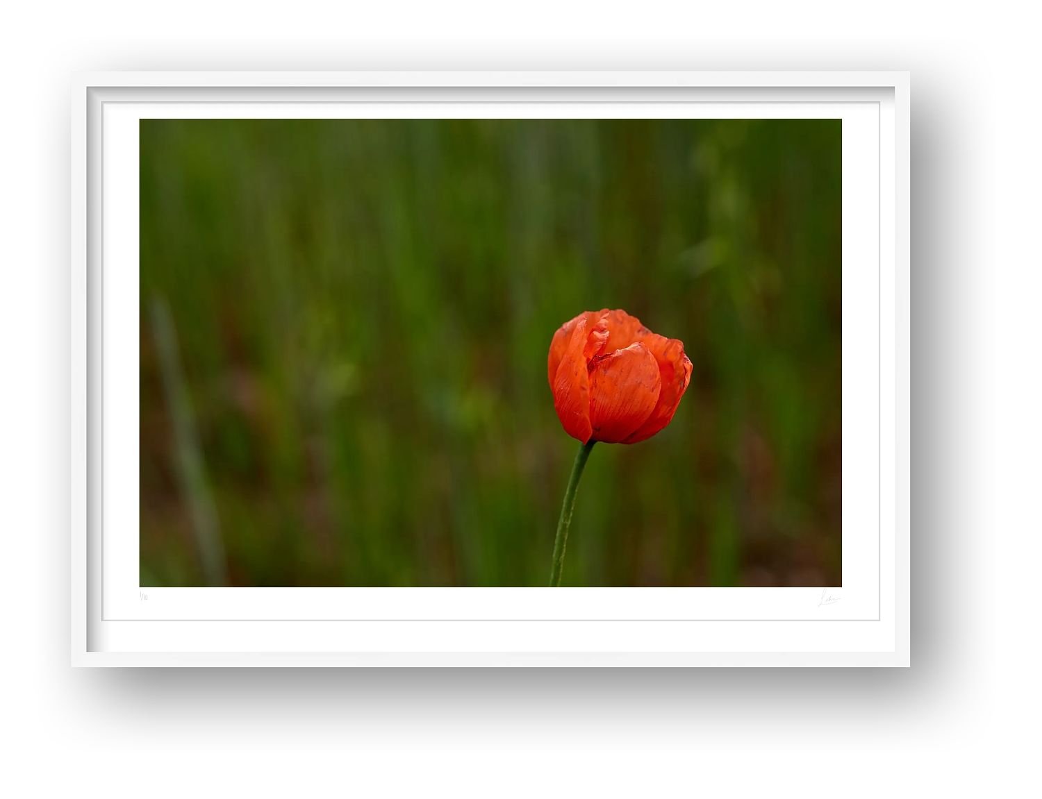 preview_969855a0_b20d3a3f.jpg preview