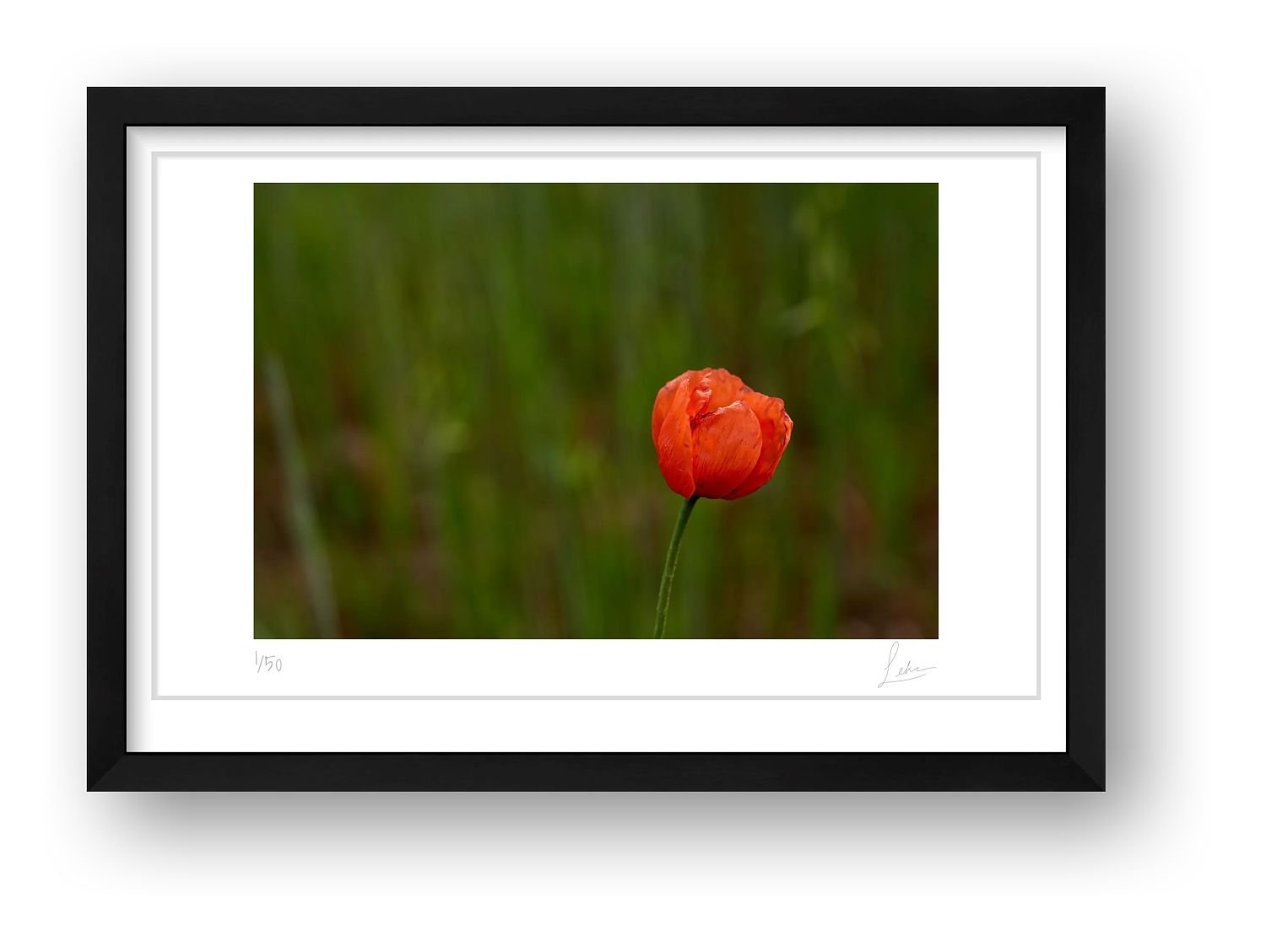 preview_dffe07a9_dd5e0eaa.jpg preview