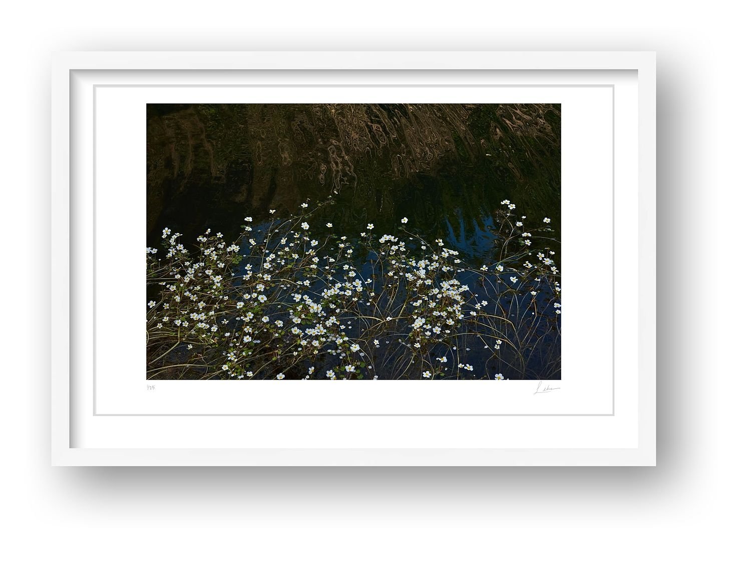 preview_306d7b06_efe6a18d.jpg preview
